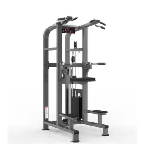 Chin/Dip Assist - Realleader USA-M2-1020