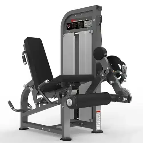 Leg Extension & Lying Leg Curl - Realleader USA - PF-1007