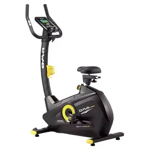 Skyline Exercise Bike-OMA-B20