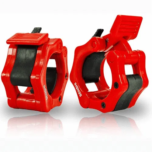 dumbbell price bangladesh