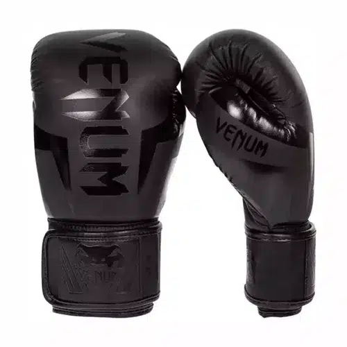 Venum luxurious boxing gloves