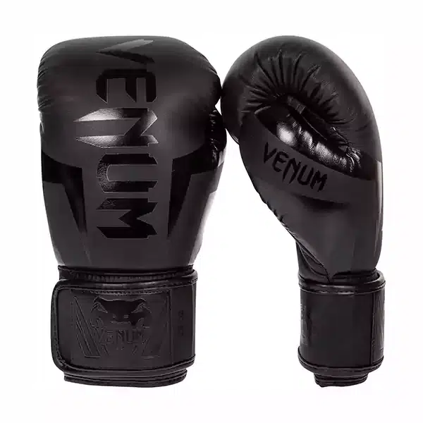 Venum luxurious boxing gloves