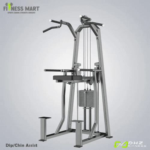 DHZ Dip Chin Assist-JN3009T