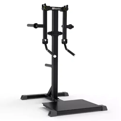 IFP1103 Standing Lateral Raise Machine-Impulse