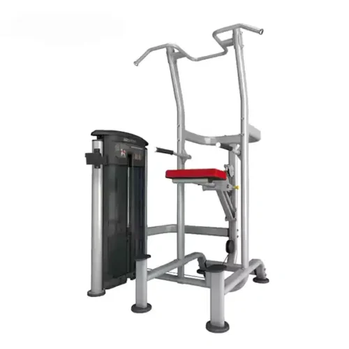 IMPULSE WEIGHT ASSISTED CHINDIP COMBO MACHINE-IT9520
