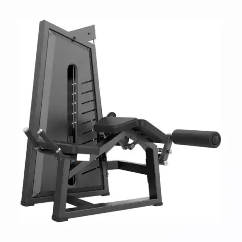 DHZ Prone Leg Curl-JN3001