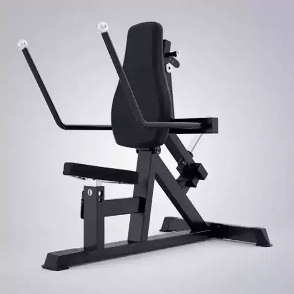 DHZ Triceps Extension/Dip Machine-A614