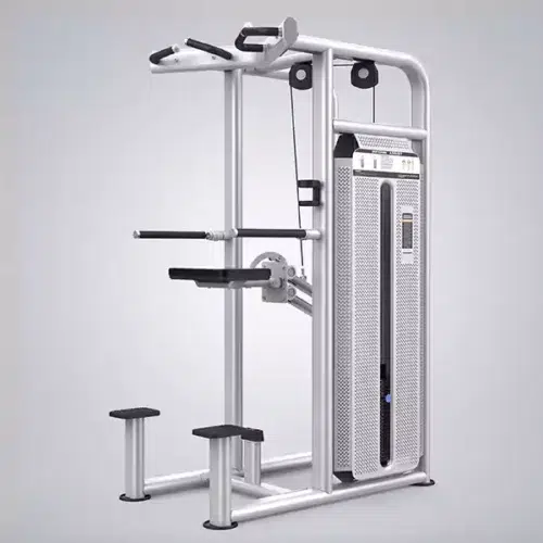 DHZ Dip Chin Assist-U2009CBZ